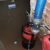 f42fdda7-8b25-4435-9104-f642e7cc38c0.jpeg