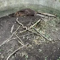 IMG_8814.jpeg